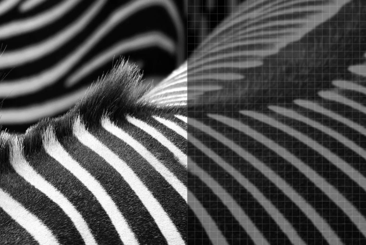 5093554-Tile-4-NPTOs