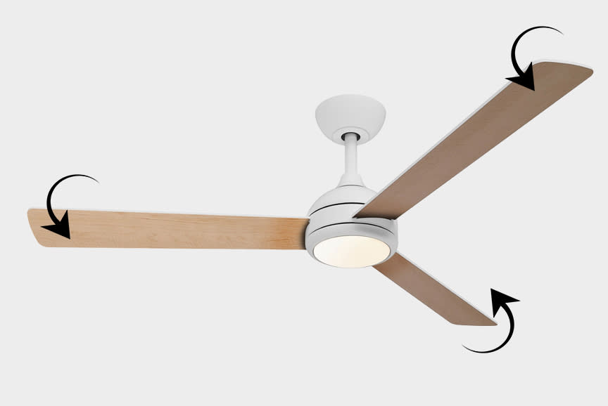 Οι δύο όψεις του… πτερυγίου! 