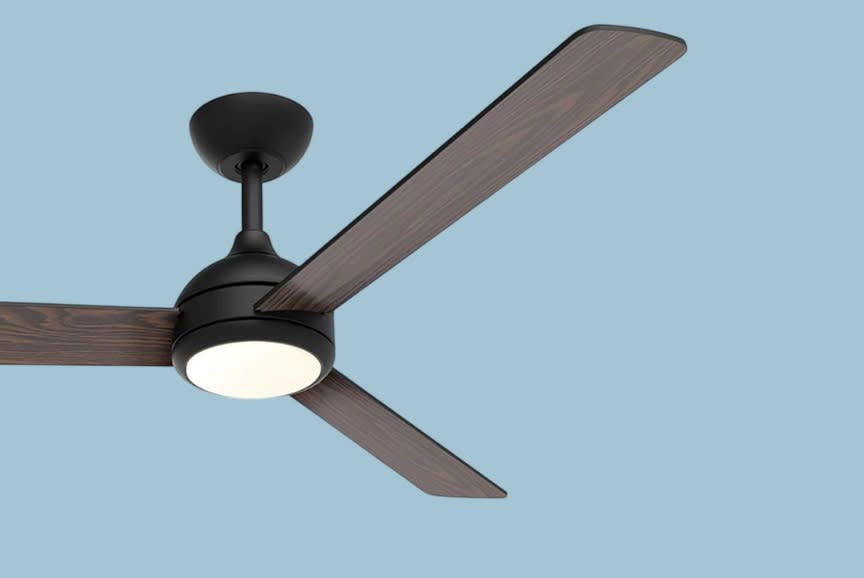 Οι δύο όψεις του… πτερυγίου! 