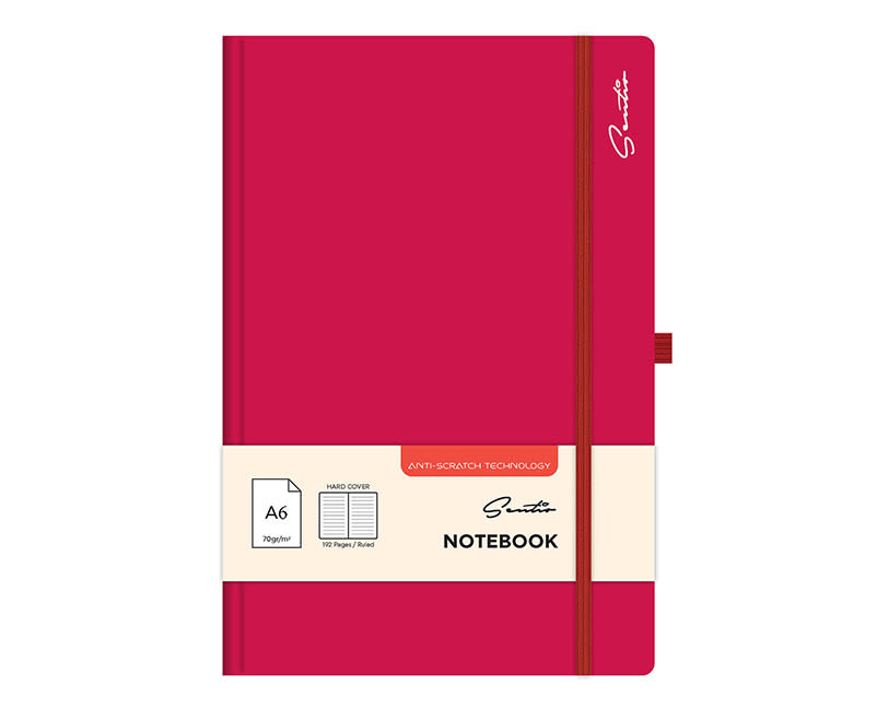 ΣΗΜΕΙΩΜ ΜΕ ΣΚΛΗΡ ΕΞ Α6 VIVA MAGEN SENTIO