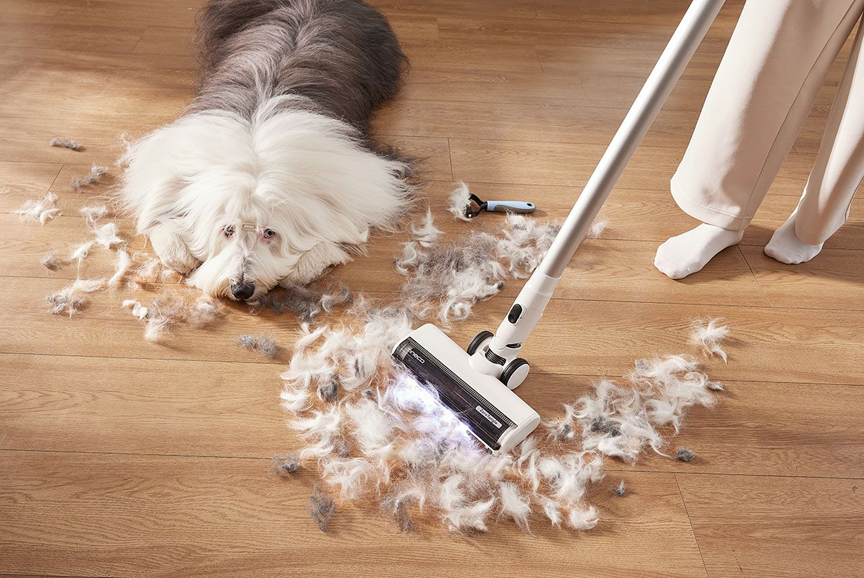 Έχεις κατοικίδιο;