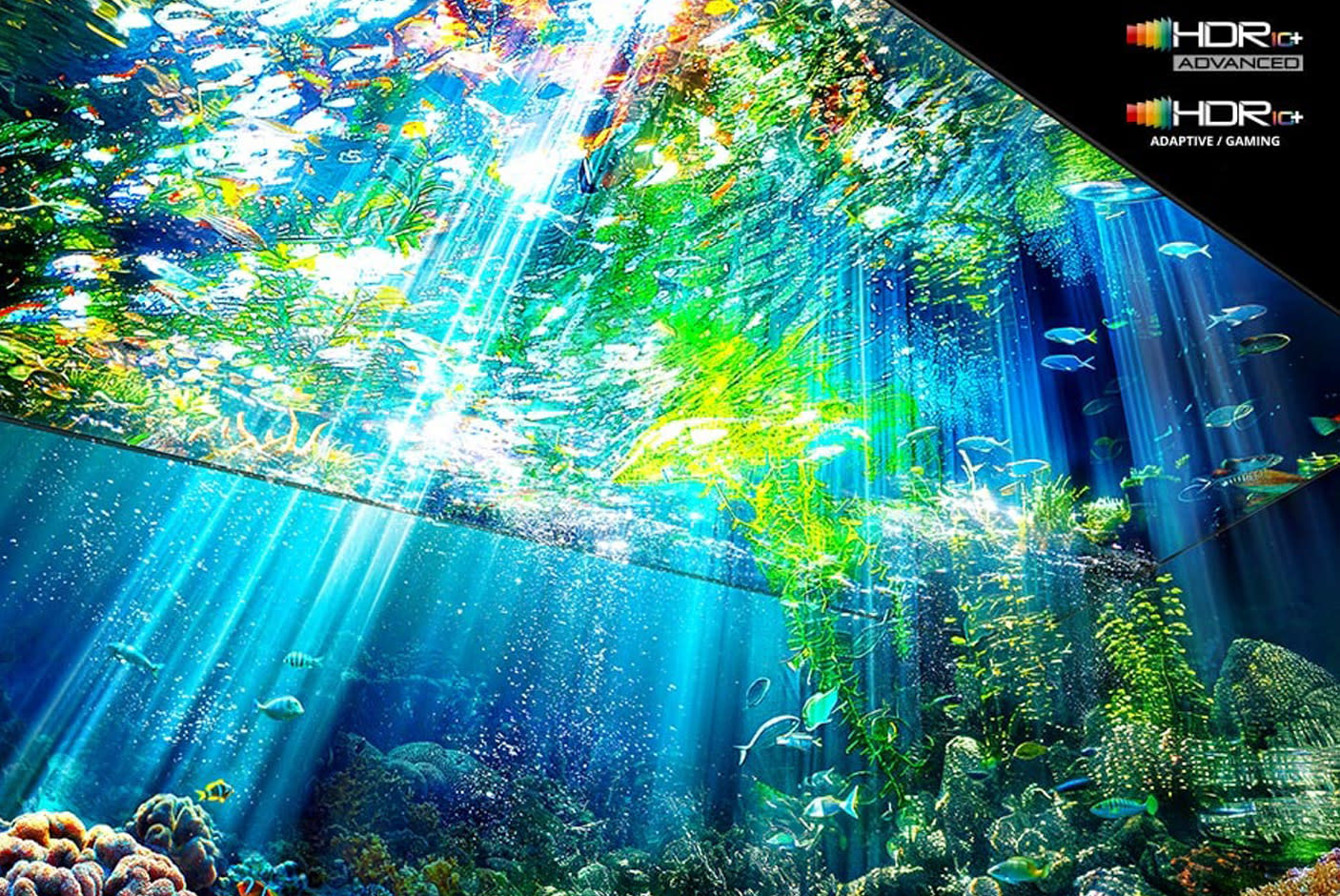 5138965-Tile-4-Micro-RGB-HDR-Plus