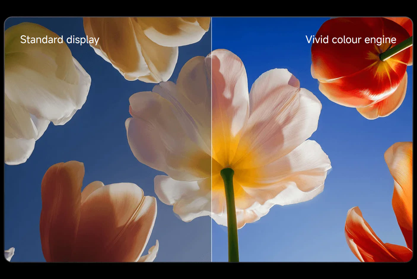 Xiaomi TV S Mini LED (2026)