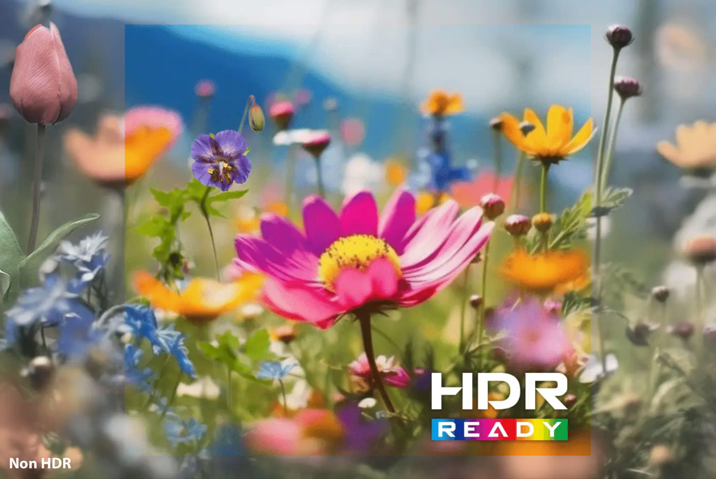 5304202-Tile-5-HDRREADY