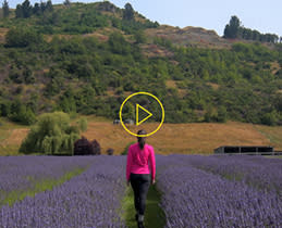 Nikon D610 (Body) FHD