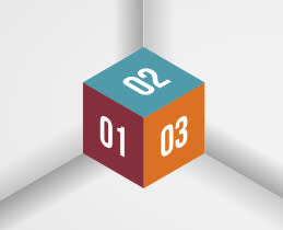 Singer Πρέσα STEAMY