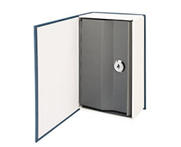 χρηματοκιβώτιο