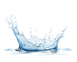 Bosch Κουζινομηχανή MUM5XW20