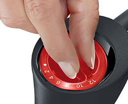 Bosch Ραβδομπλέντερ MS6CB61V1 ErgoMixx