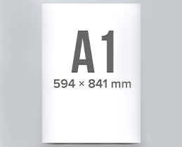 Εκτυπωτης Plotter HP DesignJet T230 24''