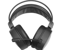 Downloadable Software