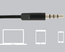 Headset Logitech H151 connection