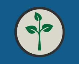 Liebherr Μονόπορτο Ψυγείο FKDv 4523