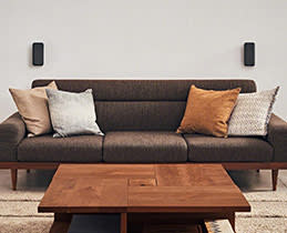 Sony Surround Soundbar HT-S40R