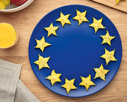 Bosch Μπλέντερ MMB6174S VitaPower