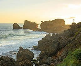 Landscapes & Architecture