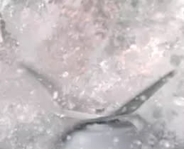 Philips Μπλέντερ HR2041/00