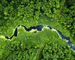 Miele Απορρυπαντικό Ρούχων UltraPhase 2