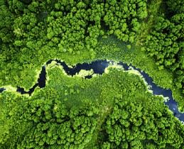 Miele Set 6x UltraPhase 1 και 2Sensitive