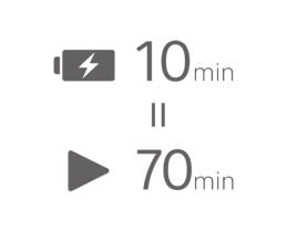 STAMINA + Fast Charge