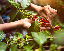 Krups Καφετιέρα Espr. Με κάψουλα XN9204