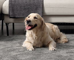 Rowenta Σκούπα Stick Επαναφ/μενη RH2079