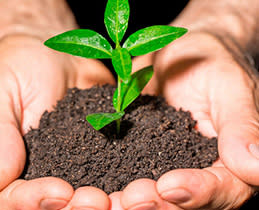 Teka Απορροφητήρας Τζάκι DBP 70 PRO