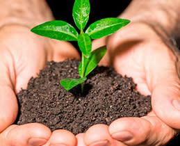 Teka Απορροφητήρας Τζάκι DBP 60 PRO