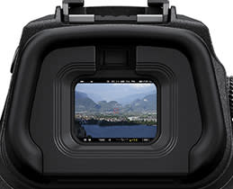 Nikon Z5 EVF