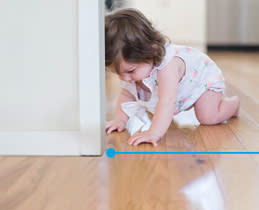 Home security Camera Tp-Link Tapo C225