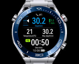 Safe Diving Measures