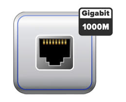 Gigabit LAN