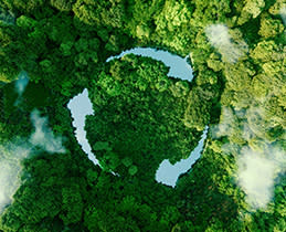 Scanner Epson Perfection V39I