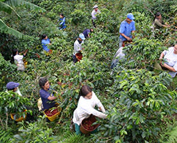 Delonghi Καφετιέρα Espresso ENV300.B