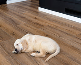 AEG Πλυντήριο Ρούχων L8FBE48SCI