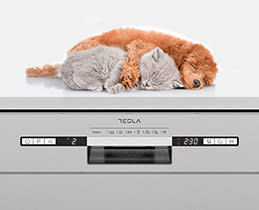 Tesla Πλυντήριο Πιάτων WD661MX