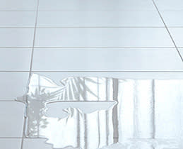 Pitsos Πλυντήριο Πιάτων DSF60I01