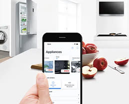 Bosch Στεγνωτήριο WQB246C9GR