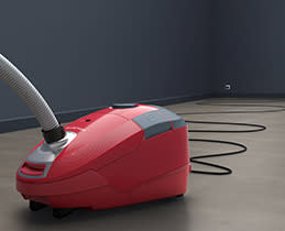 Rowenta Σκούπα Με Σακούλα RO3154