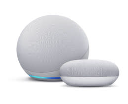 Alexa + Google Assistant