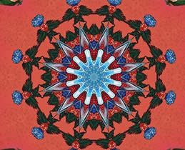 Samsung The Freestyle