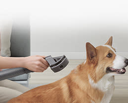Dyson 972205-01 Pet Grooming Kit