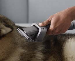 Dyson 972205-01 Pet Grooming Kit