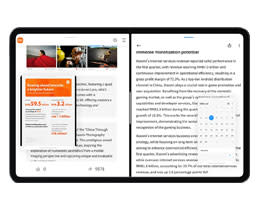 Multi Window Display
