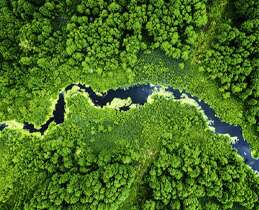 Miele Απορρυπαντικό Ρούχων UltraPhase 1