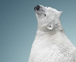 Tesla Ψυγειοκαταψύκτης RC3800FMX