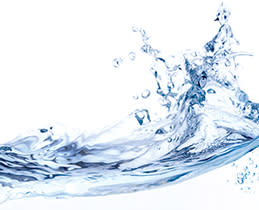 Ninja Φριτέζα&Πολυμάγειρας Αέρος ON400EU