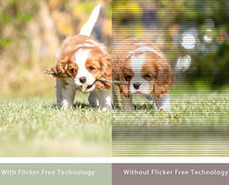 ASUS Monitor 27” VY279HE EyeCare