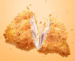 Croner Φουρνάκι CR-4001