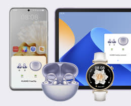 Dual Device Connection